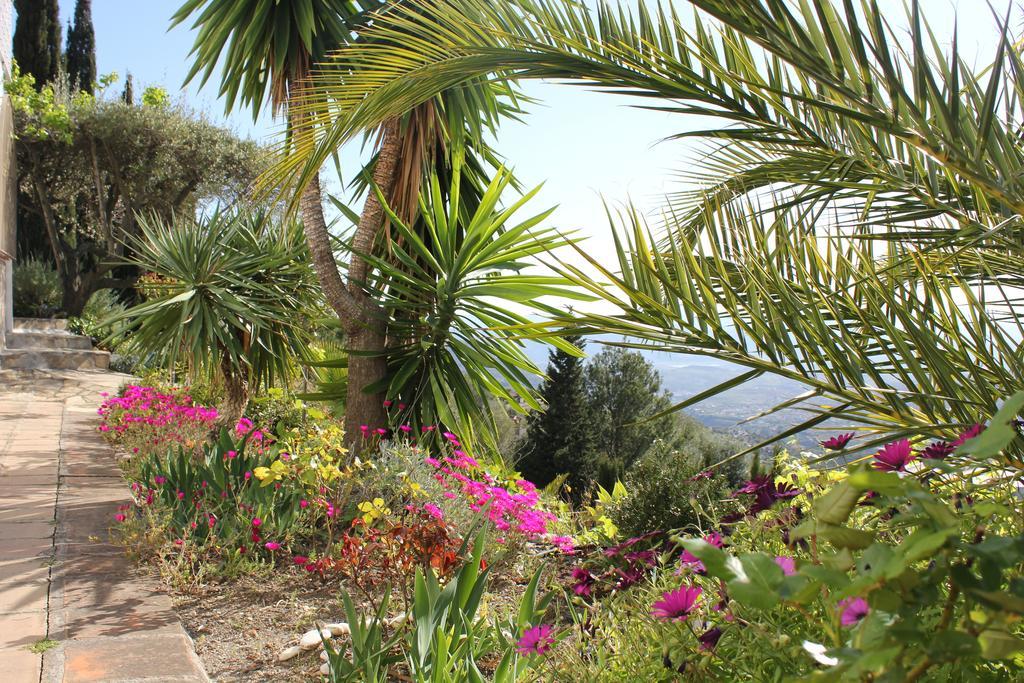 El Nispero Dulce Bed & Breakfast Alcaucín Exterior foto